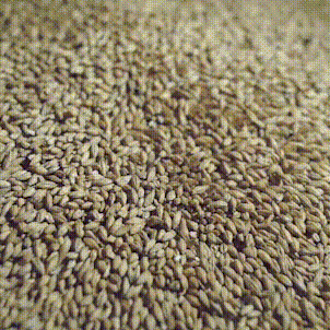 Картинка с пенным и блюдами